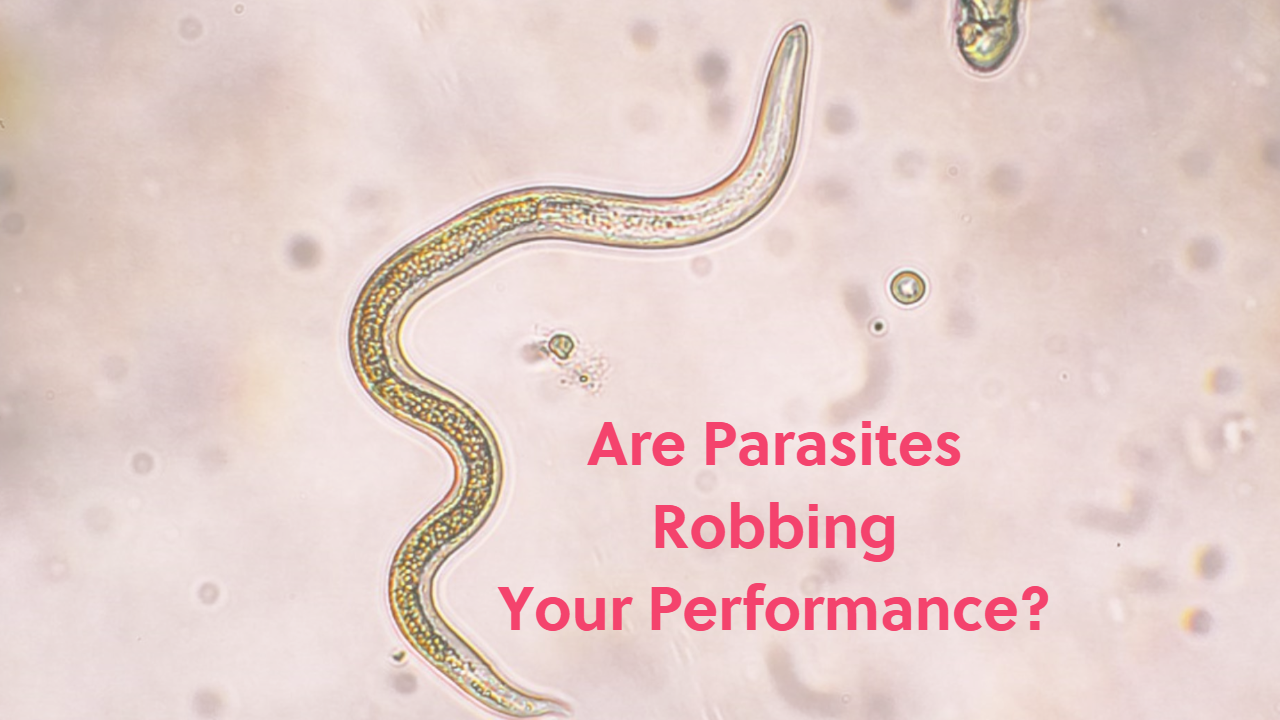 Are Parasites Robbing Your Performance?
