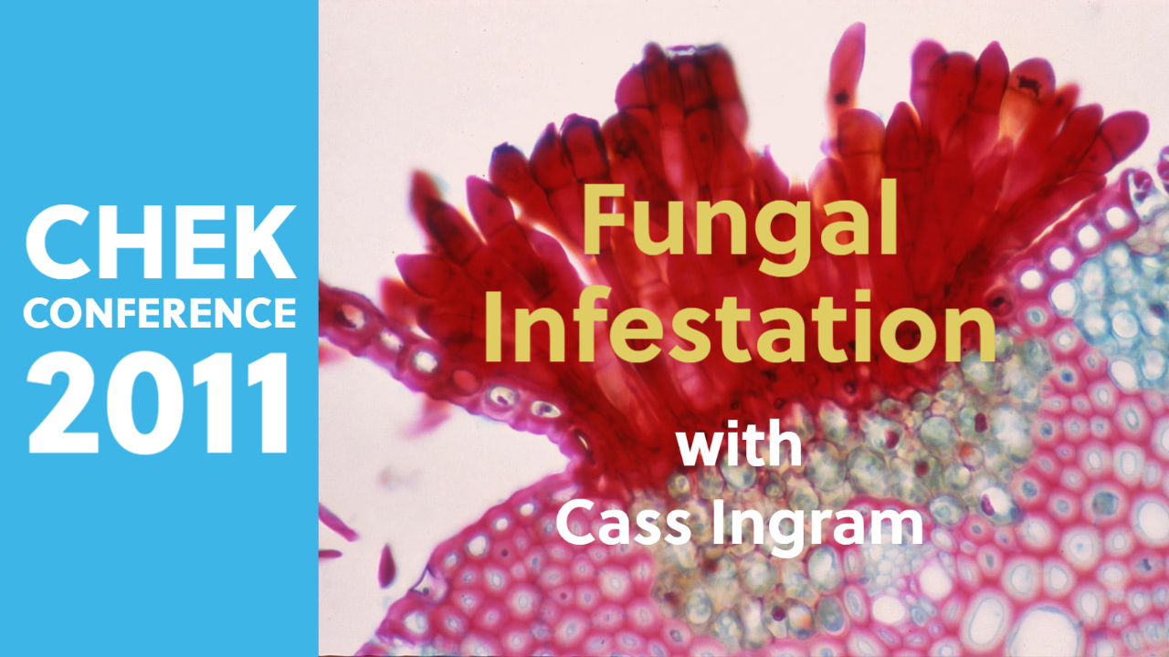 Fungal Infestation - Its Role in Sickness & Disease