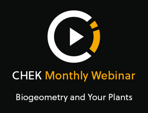 Biogeometry and Your Plants